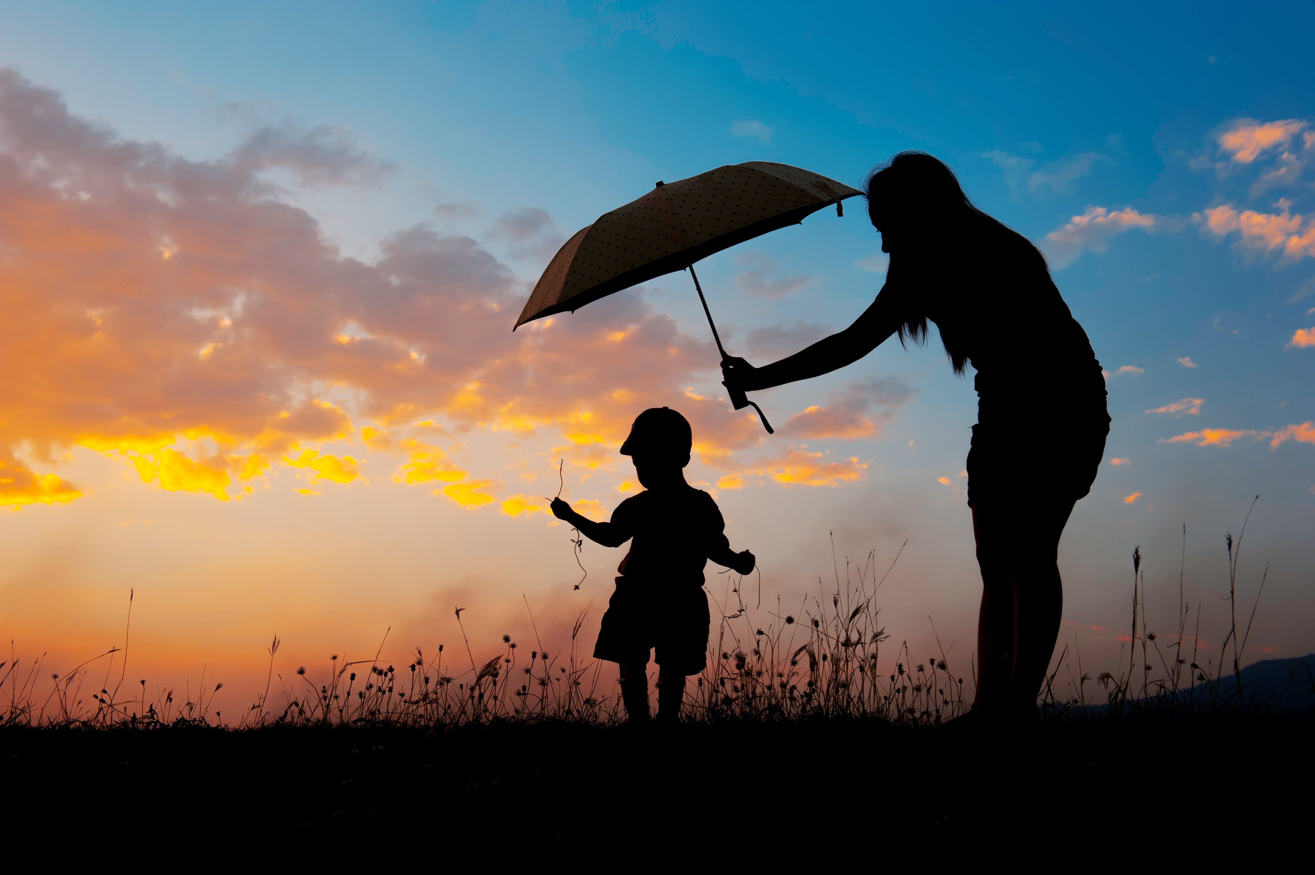 umbrella child and mother dark zenith insurance brokers PROPERTY INSURANCE, BUSINESS INTERRUPTION INSURANCE, CORPORATE GROUP LIFE INSURANCE, MEDICAL INSURANCE, MOTOR FLEET INSURANCE, PERSONAL ACCIDENT COVER, PLACEMENT